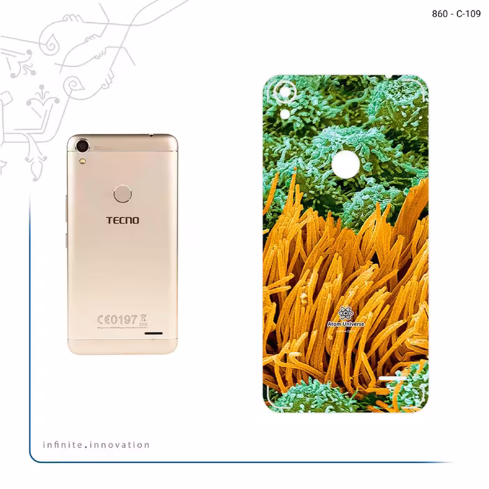 برچسب پوششی ماهوت مدل Atom Universe 6 مناسب برای گوشی موبایل تکنو WX4 Pro