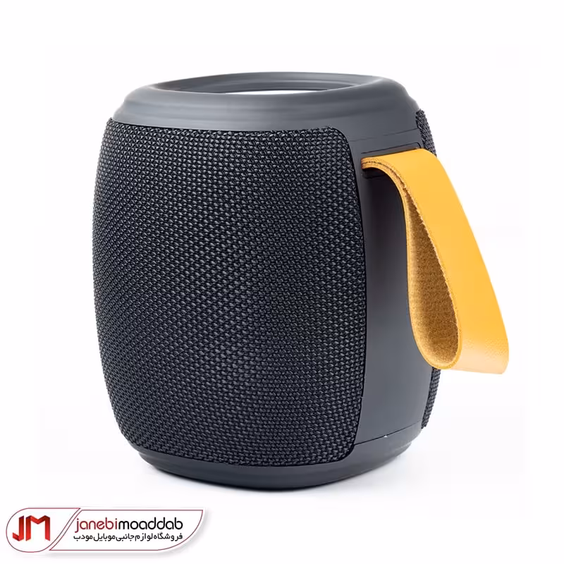 اسپیکر قابل حمل هیسکا مدل B39