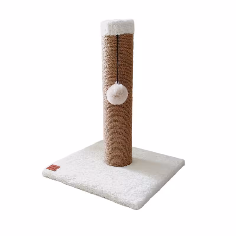 اسکرچر گربه آدریاناپت کو مدل الگانس | چاوه