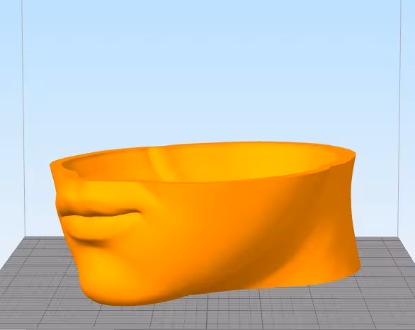 مدل سه بعدی گلدان طرح سر انسان (STL)