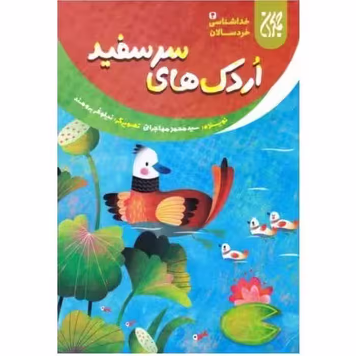 خداشناسی خردسالان 4: اردک های سرسفید