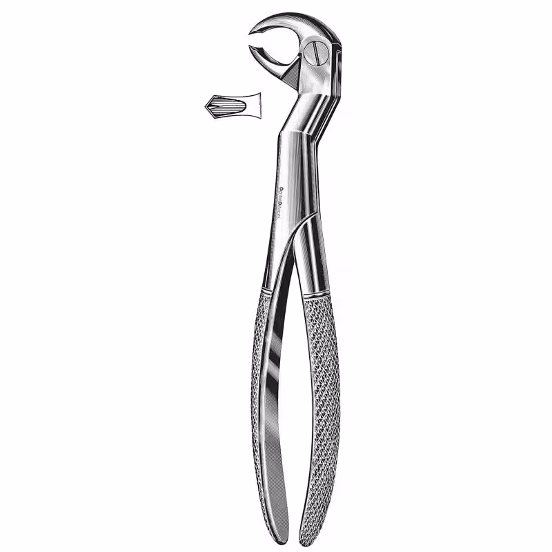 فورسپس عقل پایین راست زاویه دار دنتال دیوایس | Dental Devices