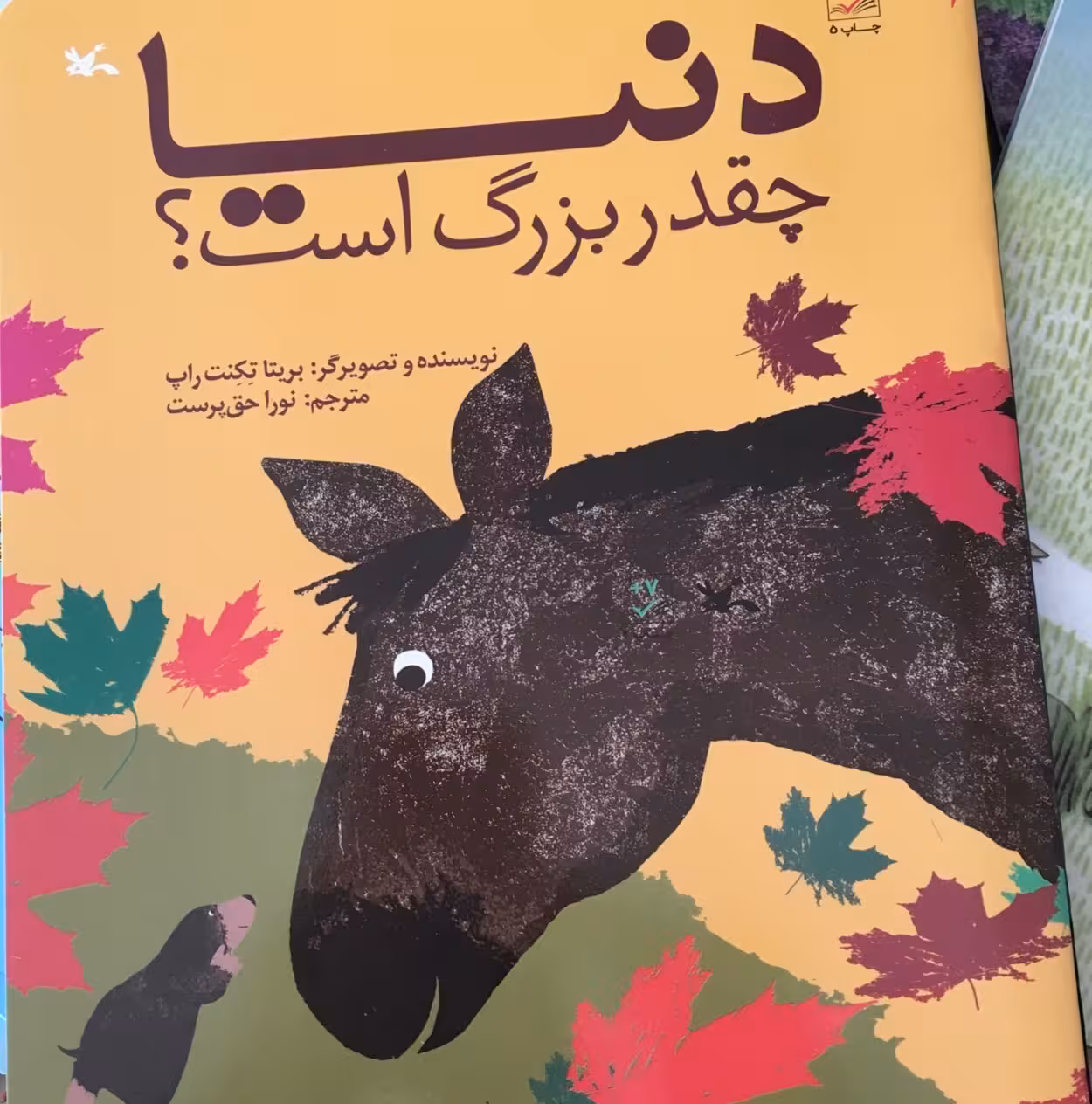 دنیا چقدر بزرگ است