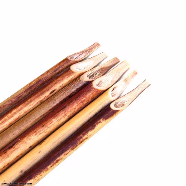 قلم نی معمولی