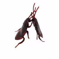 ابزار شوخی مدل سوسک آتا تویز 2160