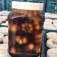 ترشی سیر 2ساله   1400گرمی 