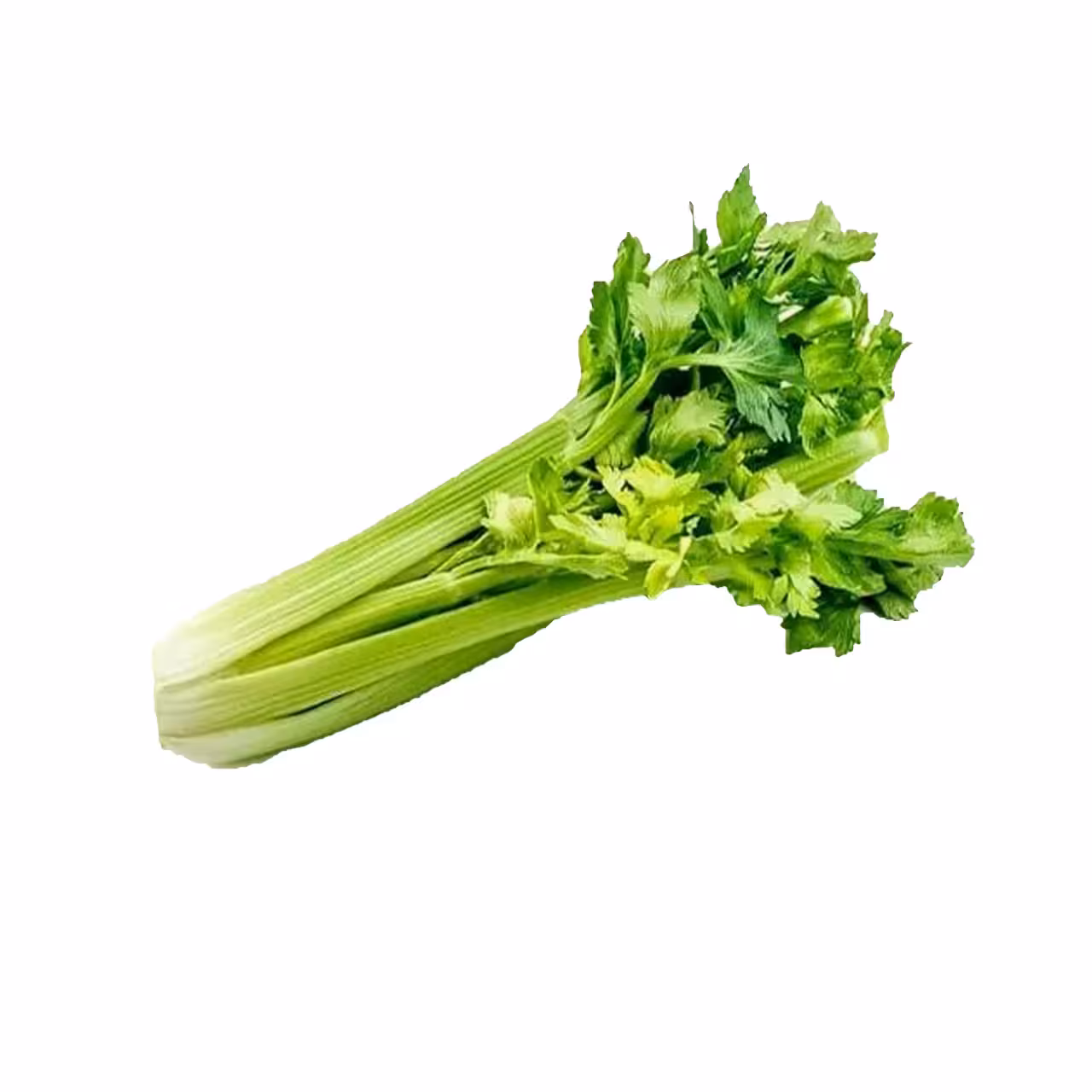 کرفس گلخانه ای ممتاز - 1 کیلوگرم