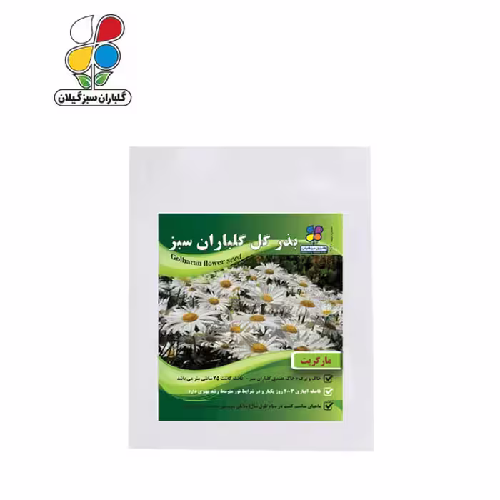 بذر گل مارگریت بسته بندی بزرگ ( بسته 24 عددی )