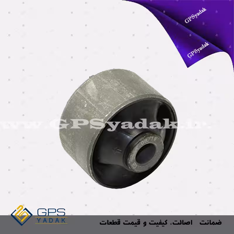 بوش طبق بزرگ کیا اپیروس