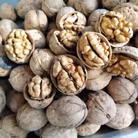 گردو خشک پوست کاغذی تازه تویسرکان 3 کیلویی 