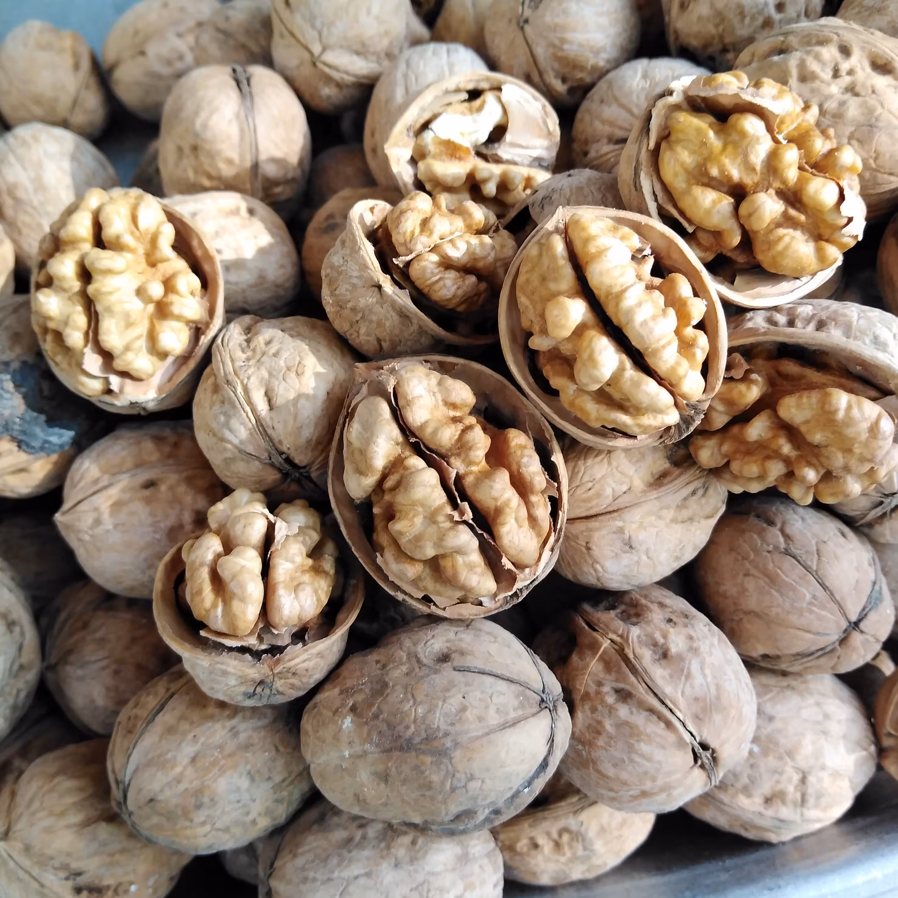 گردو خشک پوست کاغذی تازه تویسرکان 3 کیلویی 