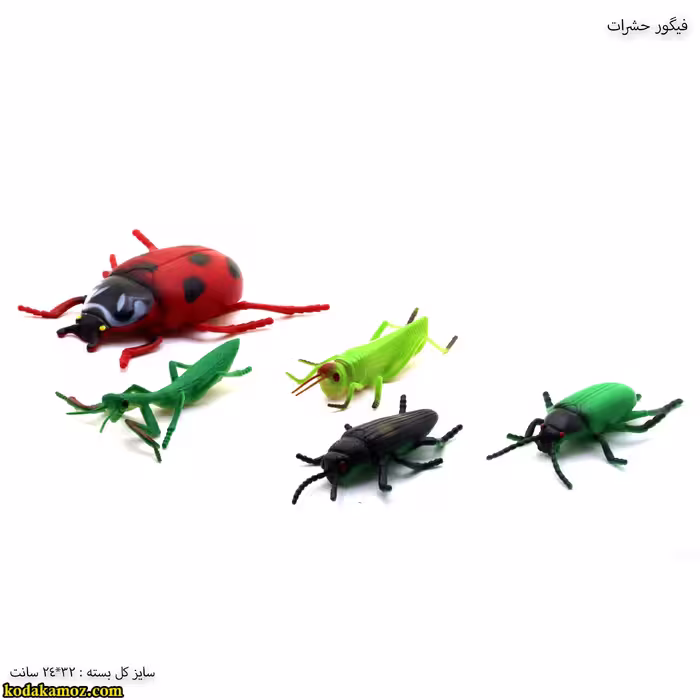 فیگور حشرات