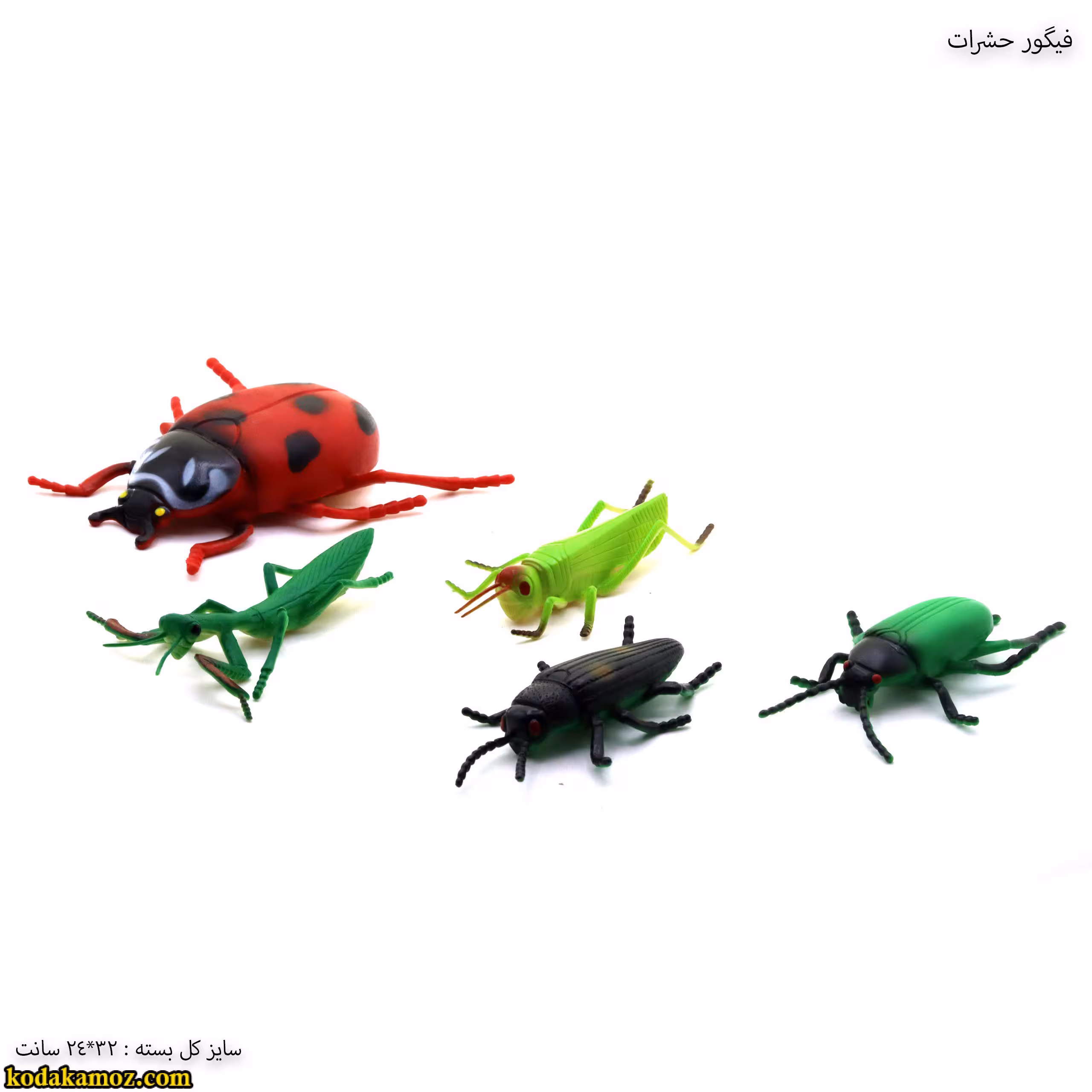 فیگور حشرات