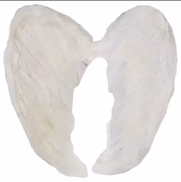 بال فرشته سفید