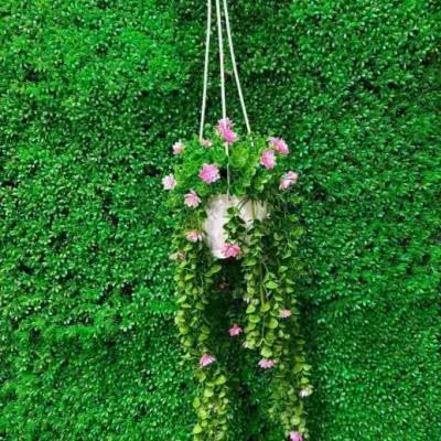 شمشاد اویز سایز بزرگ