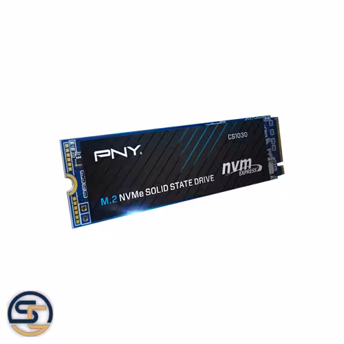 حافظه SSD NVME M.2 CS1030 250GB PNY