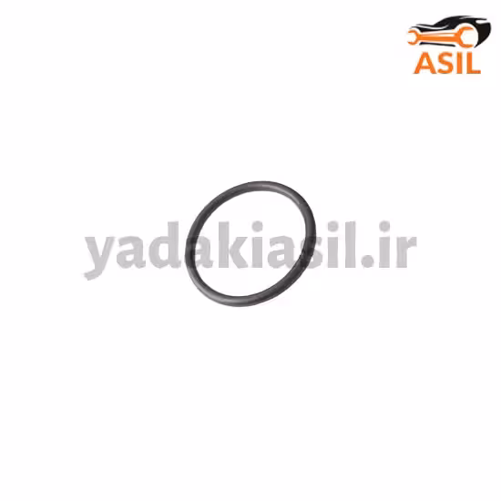 اورینگ باک پراید یورو 4 اریان خودرو