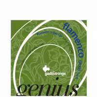 سیم گیتار ایتالیای فلامنکو گالی مدل GR100