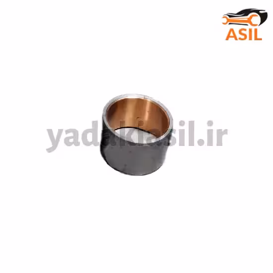 بوش گژنپین روآ سال آسیا صنعت