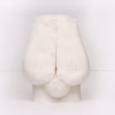   کاور مدل خرگوشی مناسب برای گوشی موبایل سامسونگ Galaxy F41