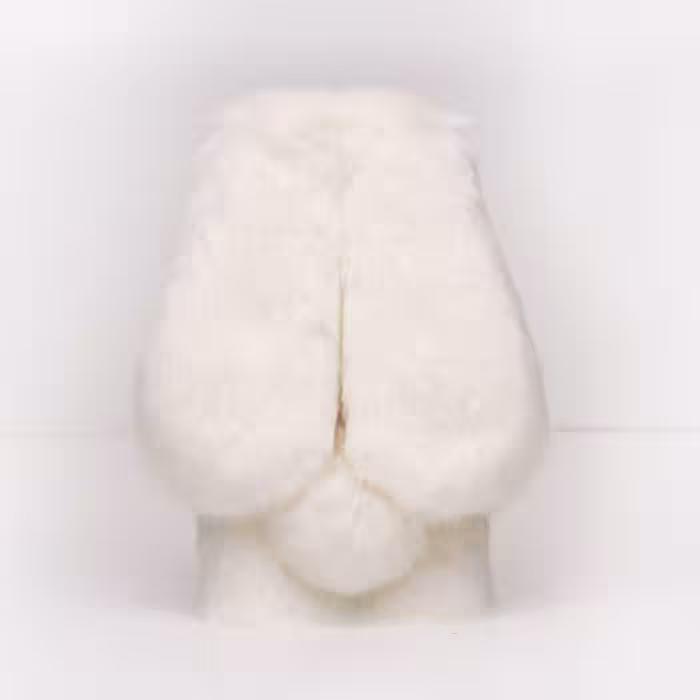   کاور مدل خرگوشی مناسب برای گوشی موبایل سامسونگ Galaxy F41