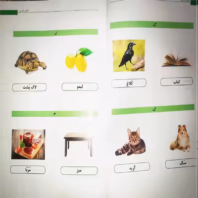 کتاب به فارسی بگو اثر دکتر الشیماء أشیبان انتشارات دولت علم