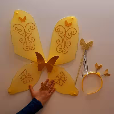 ست ایفای نقش طرح بال پروانه مدل Angel