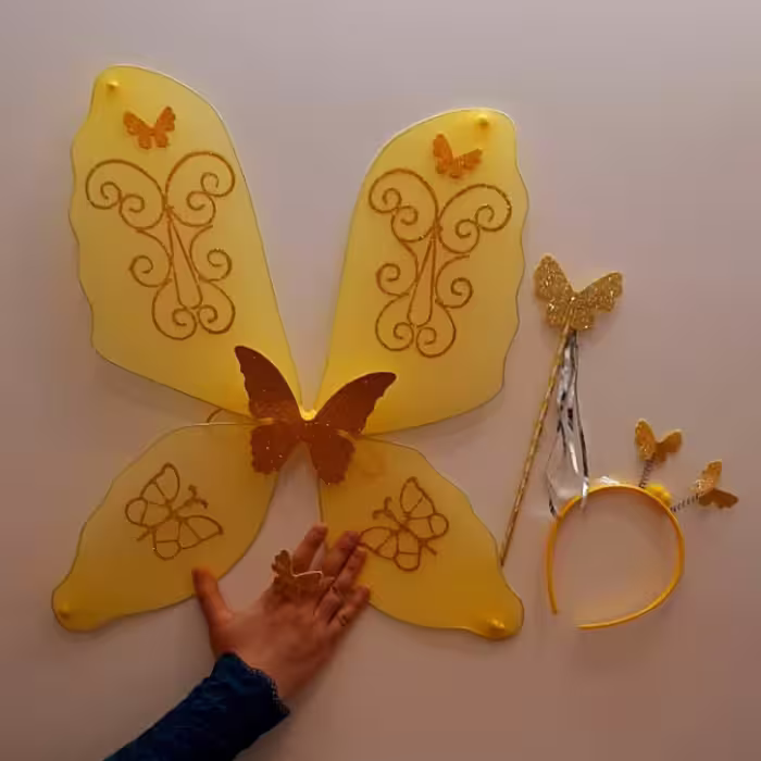 ست ایفای نقش طرح بال پروانه مدل Angel
