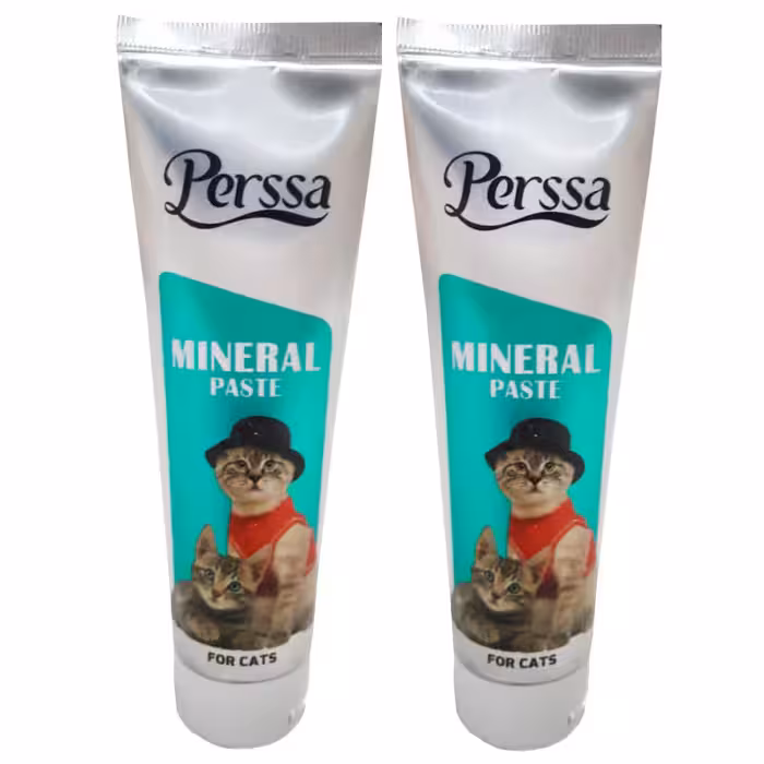 خمیر مینرال گربه پرسا مدل Mineral Paste وزن 100 گرم بسته 2 عددی