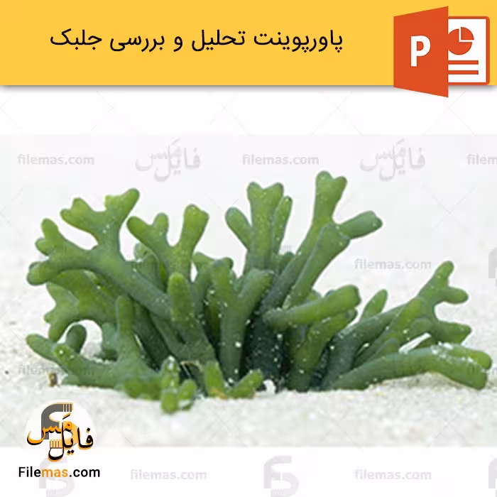 پاورپوینت جلبک ها و بررسی کاربرد آنها
