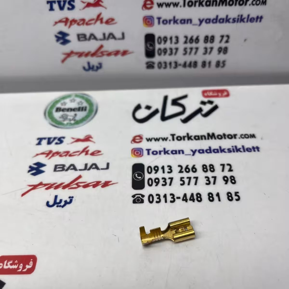 فیش بوق و افتامات