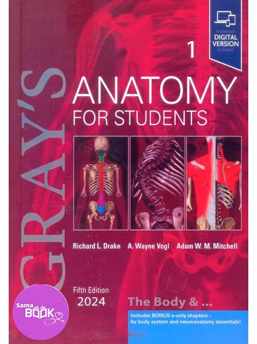 آناتومی گری 2024 جلد اول تنه زبان اصلی Gray’s Anatomy for Students vol 1 (5th edition) 2024