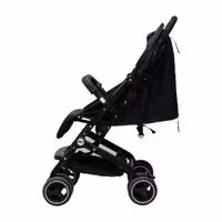 کالسکه مینی دلیجان