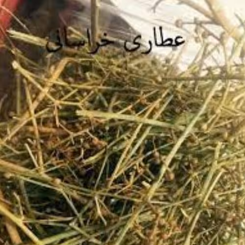 تشنه داری(سیموتی) 100گرمی