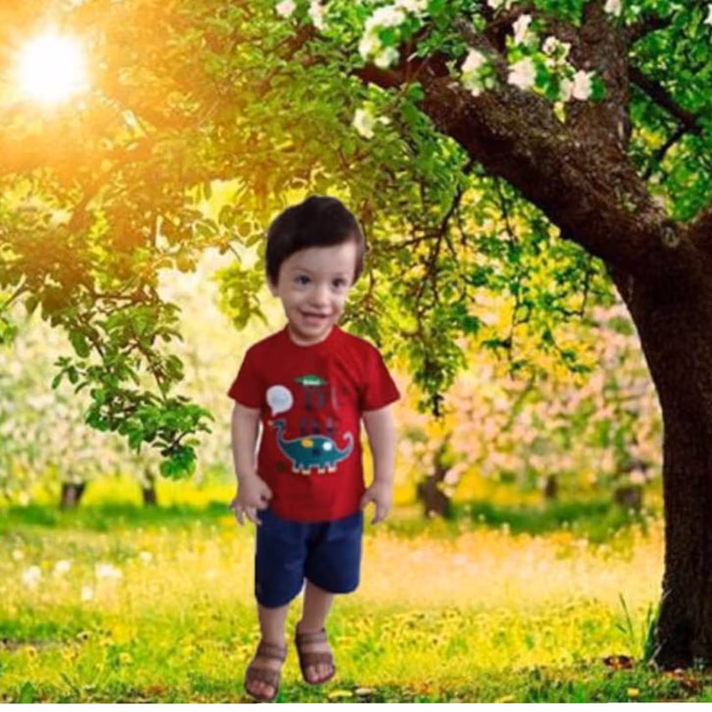 تیشرت شلوارک پسرانه طرح دایناسور