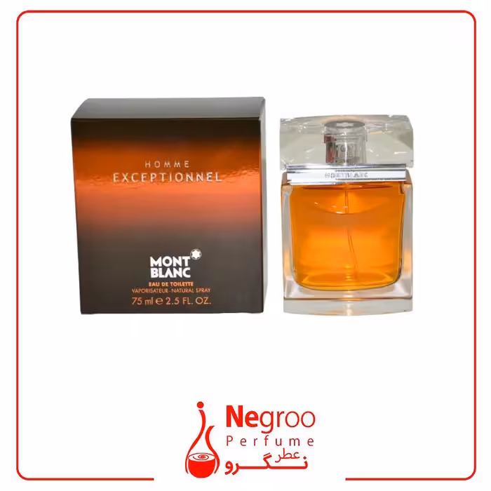 عطر ادکلن مونت بلنک اکسپشنال 75 میل