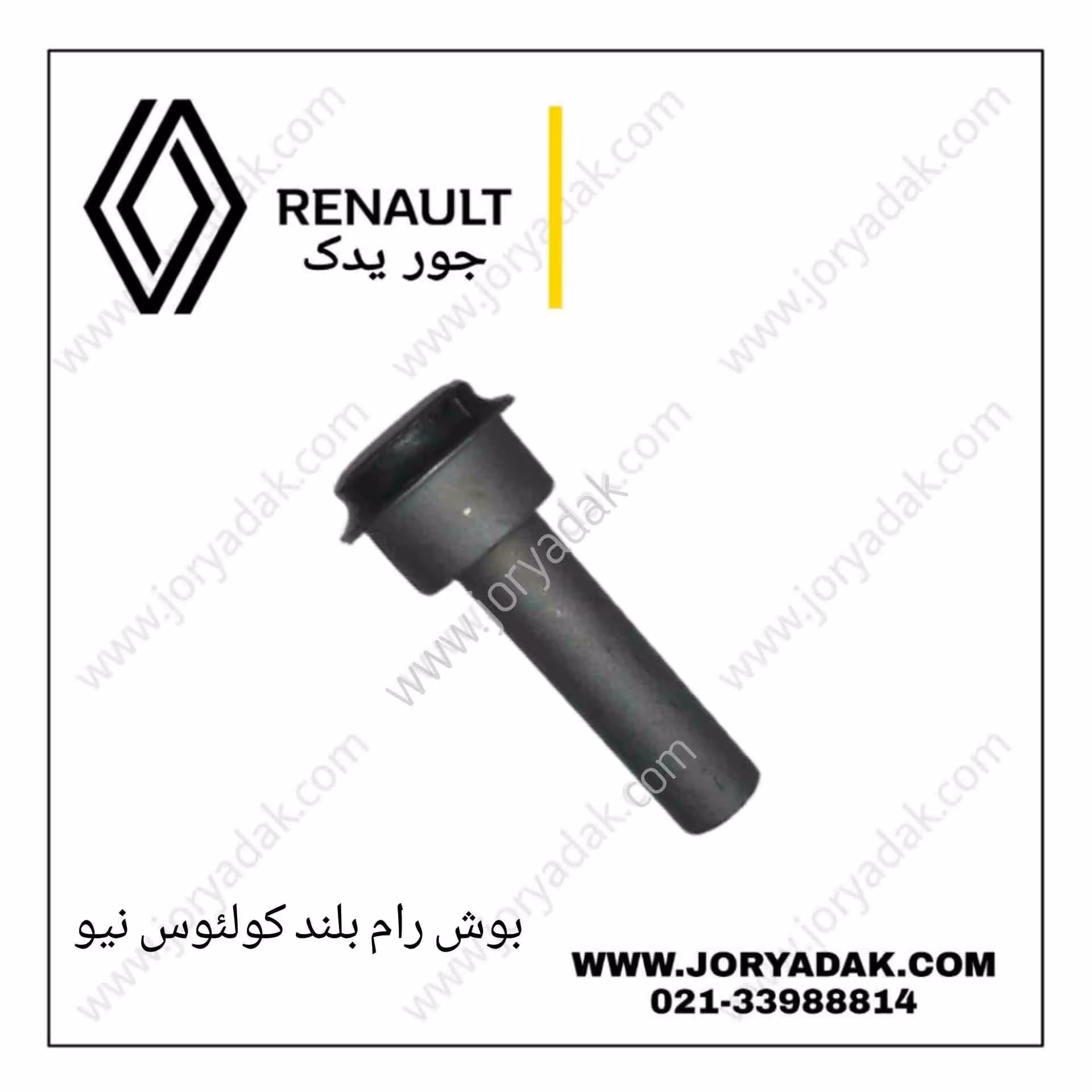 بوش رام بزرگ کولیوس