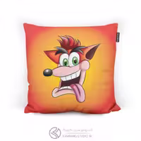 کوسن کراش Crash Bandicoot