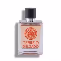 عطر مردانه TERRE دلگادو 25میل