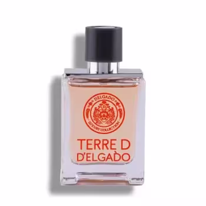 عطر مردانه TERRE دلگادو 25میل