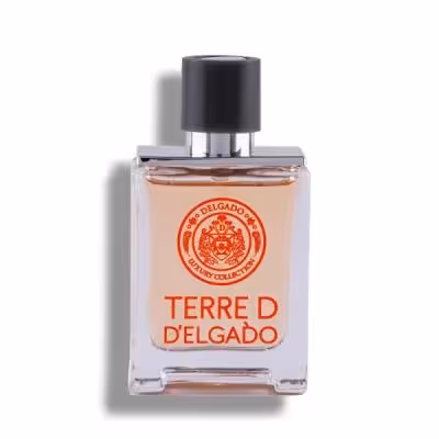 عطر مردانه TERRE دلگادو 25میل