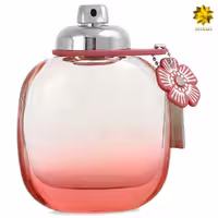 Coach Floral Blush Edp 90ml