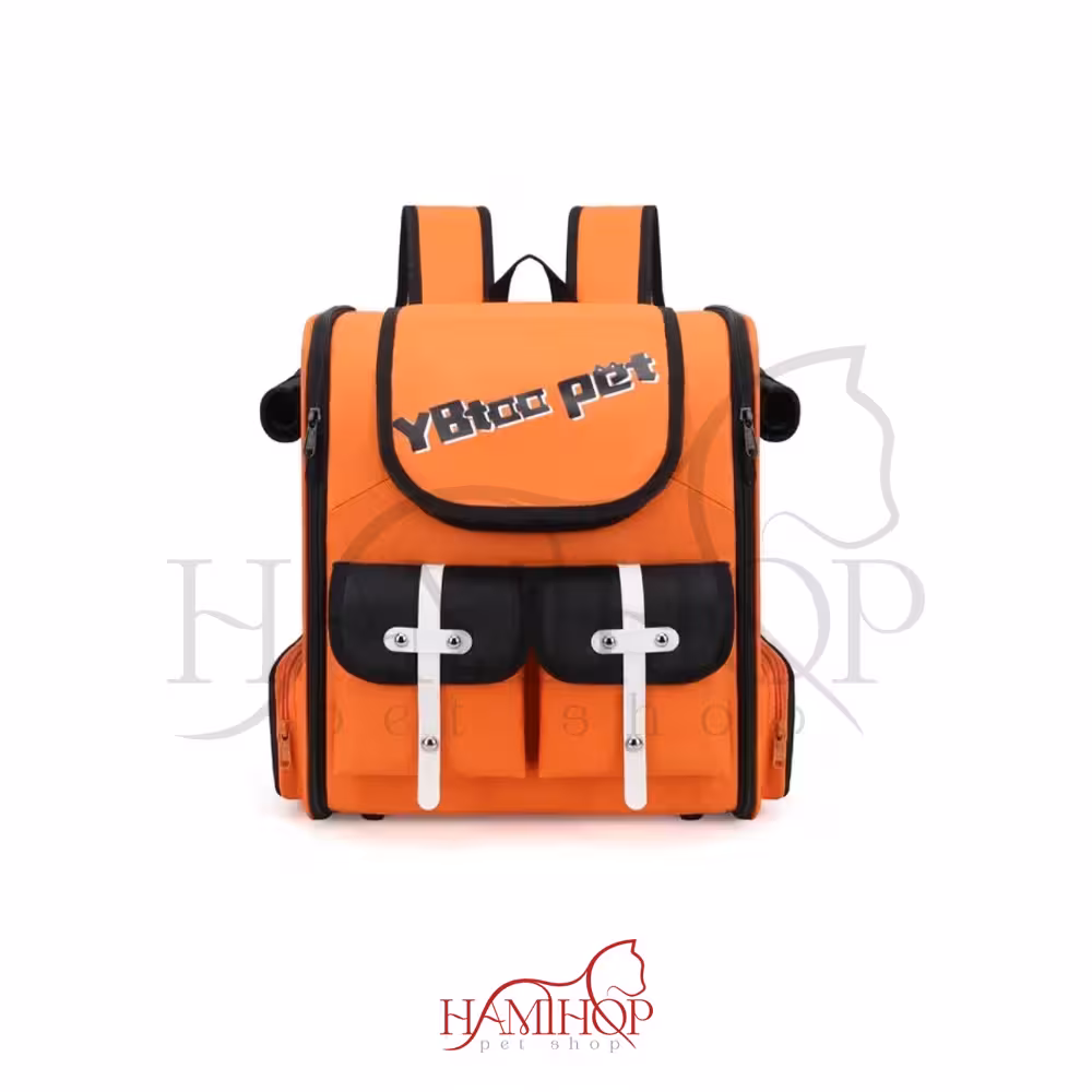 کوله حمل سگ و گربه مدل لاکچری