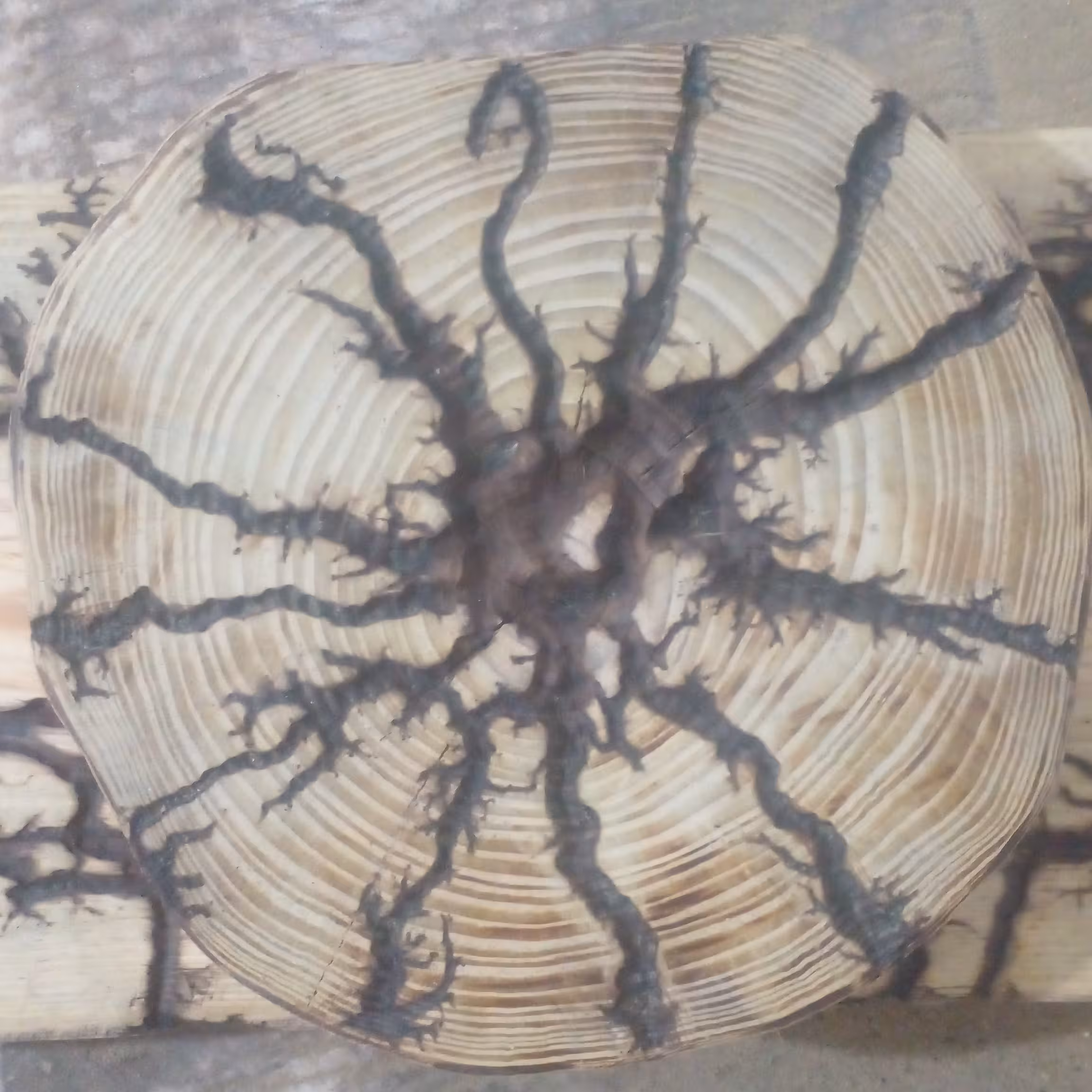 سوخته نگاری یا لیختنبرگ واقعی