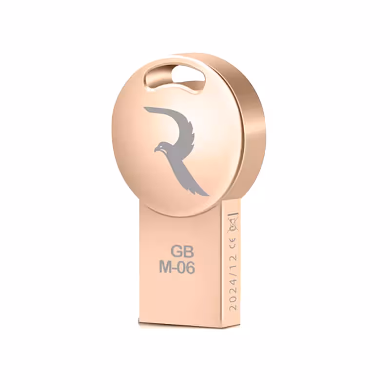 فلش مموری ریوکس مدل M06 ظرفیت 64 گیگابایت | REEWOX