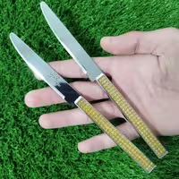 چاقو میوه خوری MTG کد 15706 طلایی بسته 12 عددی با ارسال رایگان