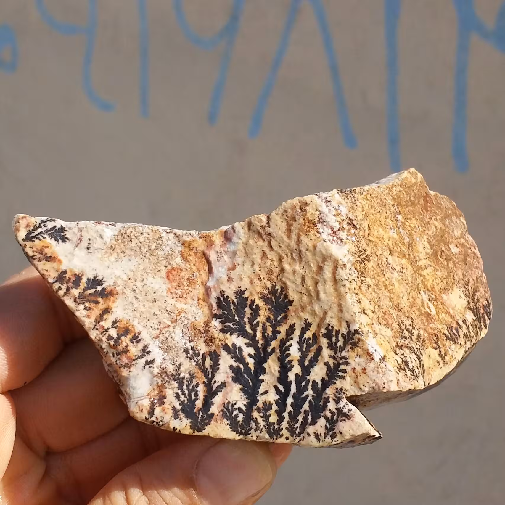 سنگ راف 100 در 100 طبیعی شجر دندریتی یا فسیلی درشت محشر  خاص شاهکار خلقت
شجر واضح کشیده خاص
تصویر از 3 طرف نمونه
کد11035