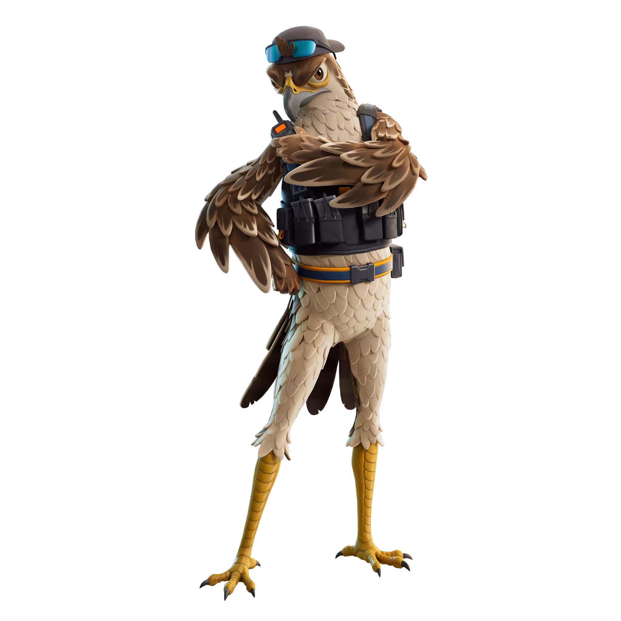Ken Kestrel