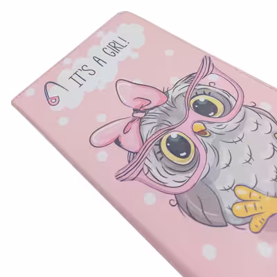 کیف کلاسوری ام ان اف طرح جغد فانتزی کد M-181 مناسب برای تبلت سامسونگ Galaxy Tab S6 Lite P610 / P615