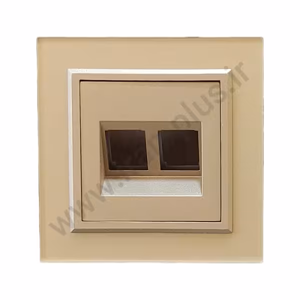 شبکه دوسوکت cat6 cat6 مدل برلیان پلکسی بژ